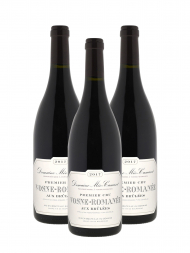 Meo Camuzet Vosne Romanee Aux Brulees 1er Cru 2017 - 3bots