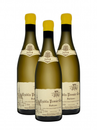 Francois Raveneau Chablis les Butteaux 1er Cru 2019 - 3bots