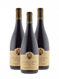 Ponsot Clos de la Roche Cuvee Vieilles Vignes Grand Cru 2010 - 3bots