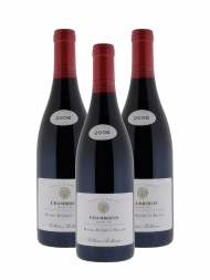 Collection Bellenum Chambertin Grand Cru 2006 (by Nicolas Potel) - 3bots