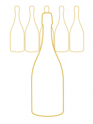 Jacques Selosse Champagne Millesimes 2009 - 6bots