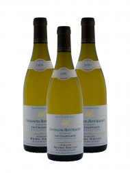 Michel Niellon Chassagne Montrachet Les Champs Gain 1er Cru 2020 - 3bots