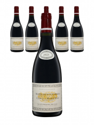 Jacques Frederic Mugnier Nuits Saint Georges Clos de la Marechale 1er Cru 2021 - 6bots