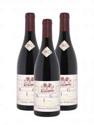 Michel Gros Nuits Saint Georges 1er Cru 2013 - 3bots