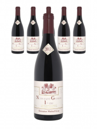 Michel Gros Nuits Saint Georges 1er Cru 2013 - 6bots