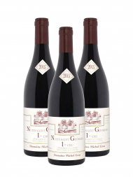 Michel Gros Nuits Saint Georges 1er Cru 2015 - 3bots