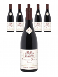 Michel Gros Nuits Saint Georges 1er Cru 2015 - 6bots