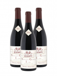 Michel Gros Nuits Saint Georges 1er Cru 2016 - 3bots