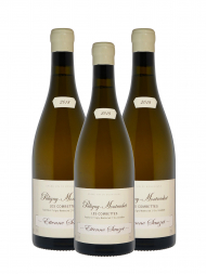 Etienne Sauzet Puligny Montrachet Les Combettes 1er Cru 2018 - 3bots