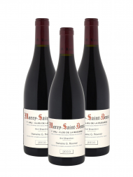 Georges Roumier Morey Saint Denis La Bussiere 1er Cru 2010 - 3bots