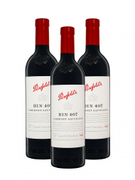 Penfolds Bin 407 Cabernet Sauvignon 2022 - 3bots