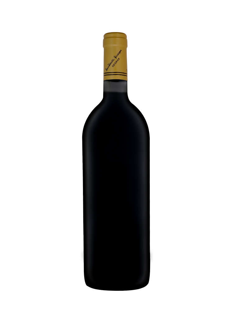 Giuseppe Quintarelli Alzero Cabernet 2013 - 3bots