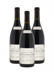 Meo Camuzet Vosne Romanee Les Chaumes 1er Cru 2015 - 3bots