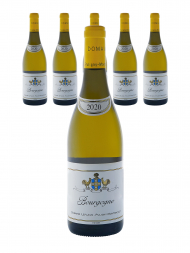 Leflaive Bourgogne Blanc 2020 - 6bots