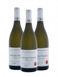 Maison Roche de Bellene Meursault Perrieres 1er Cru 2018 (by Nicolas Potel) - 3bots