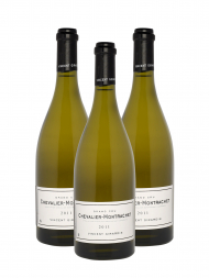 Vincent Girardin Chevalier Montrachet Grand Cru 2011 - 3bots