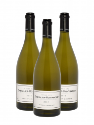 Vincent Girardin Chevalier Montrachet Grand Cru 2013 - 3bots