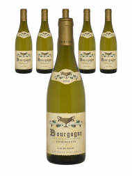 J F Coche Dury Bourgogne Blanc 2016 - 6bots