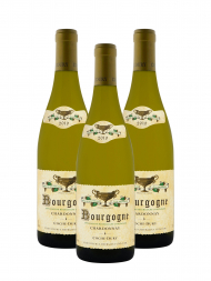 J F Coche Dury Bourgogne Blanc 2019 - 3bots