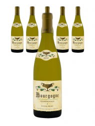 J F Coche Dury Bourgogne Blanc 2019 - 6bots