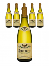 J F Coche Dury Bourgogne Blanc 2020 - 6bots