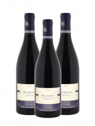 Anne Gros Richebourg Grand Cru 2018 - 3bots