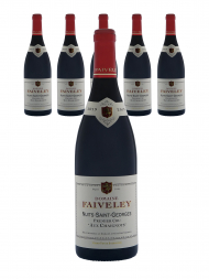 Faiveley Nuits Saint Georges Aux Chaignots 1er Cru 2019 - 6bots