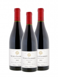 Collection Bellenum Gevrey Chambertin 2002 (by Nicolas Potel) - 3bots