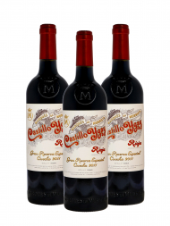 Bodegas Marques de Murrieta Castillo Ygay Gran Reserva Especial 2011 - 3bots