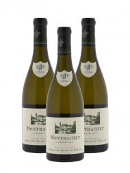 Jacques Prieur Montrachet Grand Cru 2016 - 3bots