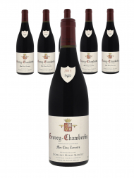 Denis Mortet Gevrey Chambertin Mes Cinq Terroirs 2013 - 6bots