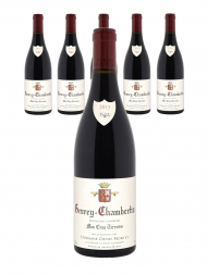 Denis Mortet Gevrey Chambertin Mes Cinq Terroirs 2015 - 6bots