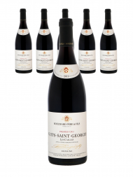 Bouchard Nuits Saint Georges Les Cailles 1er Cru 2019 - 6bots