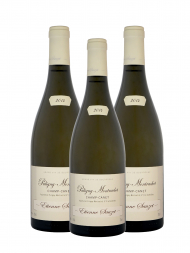 Etienne Sauzet Puligny Montrachet Champ Canet 1er Cru 2014 - 3bots