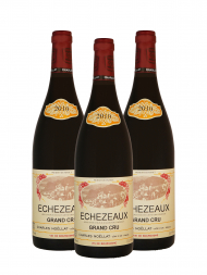 Charles Noellat Echezeaux Grand Cru 2010 - 3bots