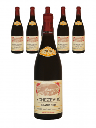 Charles Noellat Echezeaux Grand Cru 2010 - 6bots