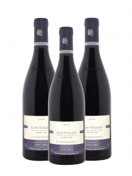 Anne Gros Clos Vougeot le Grand Maupertui Grand Cru 2018 - 3bots