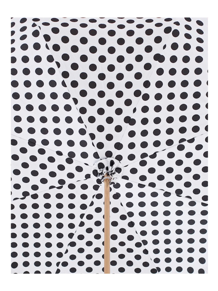 Chihuahua Umbrella with Dots Pasotti