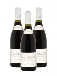 Leroy Gevrey Chambertin 2009 - 3bots