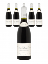 Leroy Gevrey Chambertin 2009 - 6bots