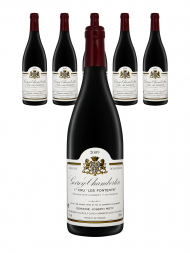 Joseph Roty Gevrey Chambertin Les Fontenys 1er Cru 2009 - 6bots