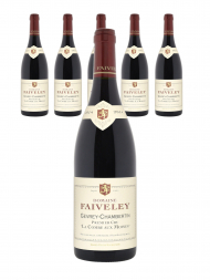 Faiveley Gevrey Chambertin Combe Au Moines 1er Cru 2014 - 6bots