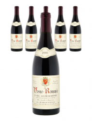 Hudelot Noellat Vosne Romanee Les Beaumonts 1er Cru 2008 - 6bots