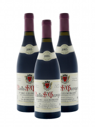 Hudelot Noellat Nuits Saint Georges Les Murgers 1er Cru 2005 - 3bots