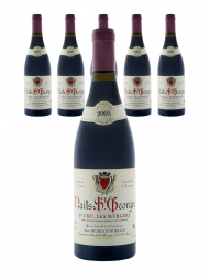 Hudelot Noellat Nuits Saint Georges Les Murgers 1er Cru 2005 - 6bots