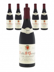 Hudelot Noellat Nuits Saint Georges Les Murgers 1er Cru 2009 - 6bots