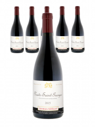 Georges Noellat Nuits Saint Georges 2015 - 6bots