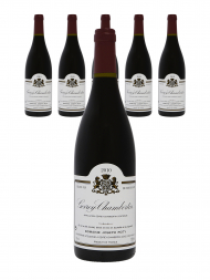 Joseph Roty Gevrey Chambertin 2010 - 6bots