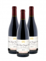 Georges Noellat Nuits Saint Georges les Boudots 1er Cru 2011 - 3bots