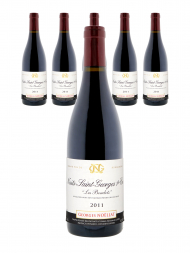 Georges Noellat Nuits Saint Georges les Boudots 1er Cru 2011 - 6bots